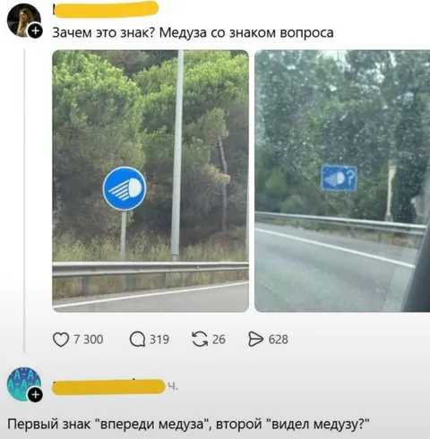 Медуза со знаком вопроса