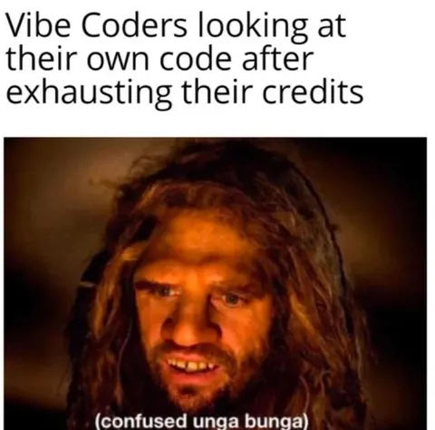 Vibe Coders See Their Code