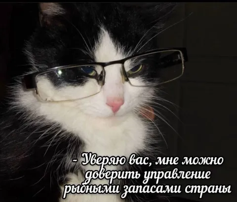 Коту доверили запасы страны