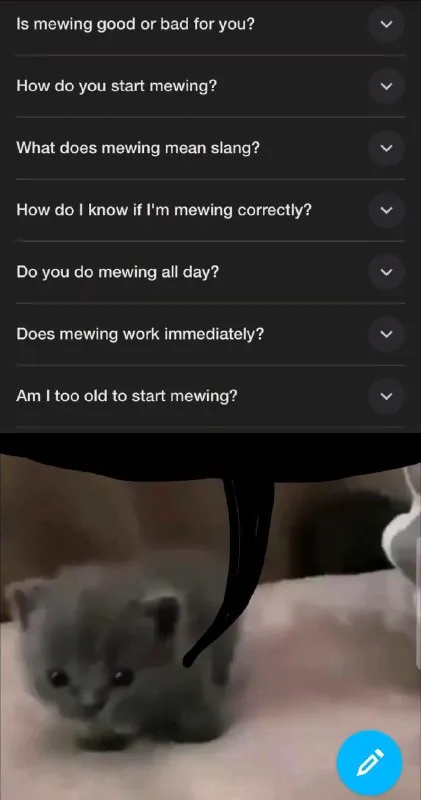 Mewing FAQ With Tiny Cat