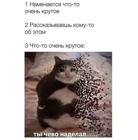 Ты чево наделал