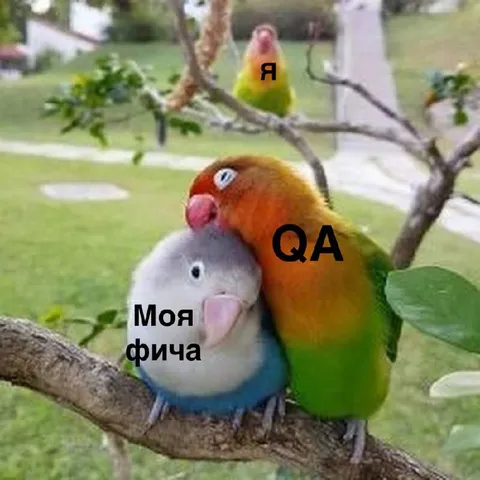 Моя фича и QA