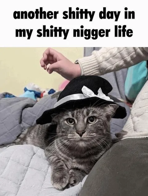 Another Shitty Day