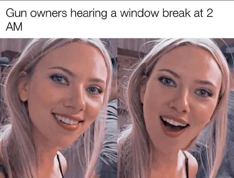 Gun Owners Hear a Window Break