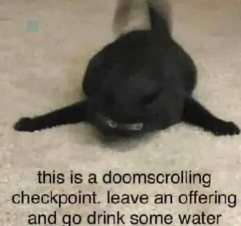Doomscrolling checkpoint cat