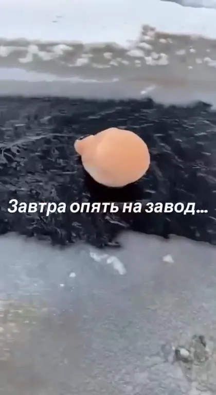 Завтра опять на завод