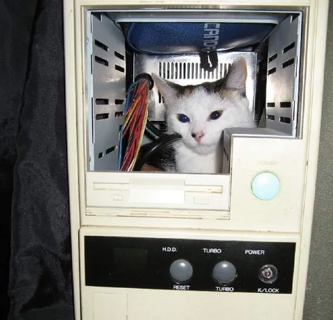 Кот внутри компьютера