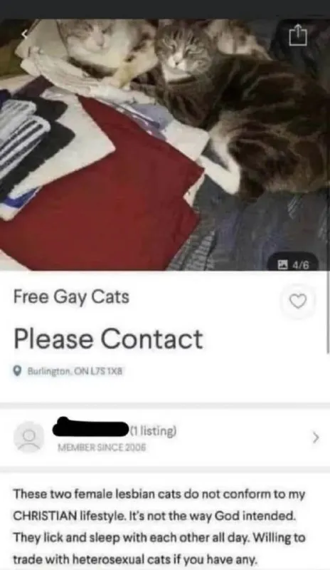 Christian Owner Wants Gay Cats Traded