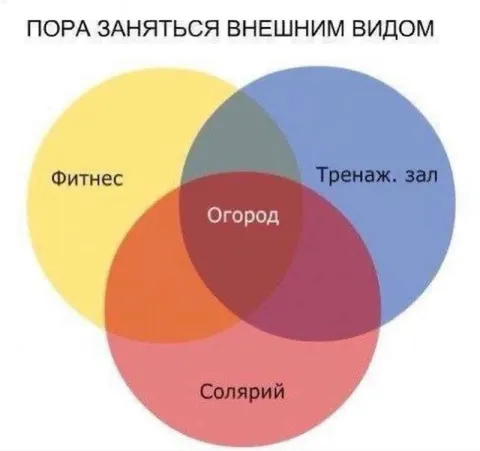 Внешний вид: огород, фитнес и солярий