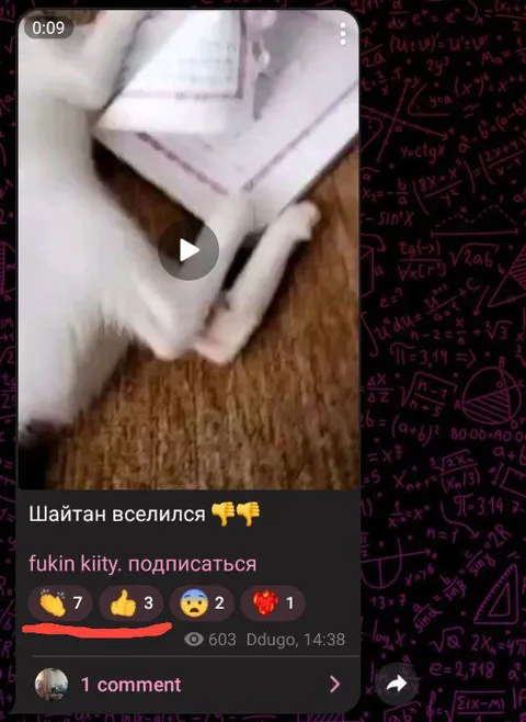Шайтан вселился в кота