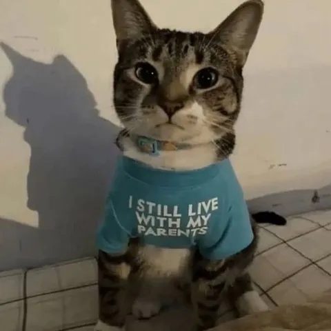 Cat Still Lives With Parents