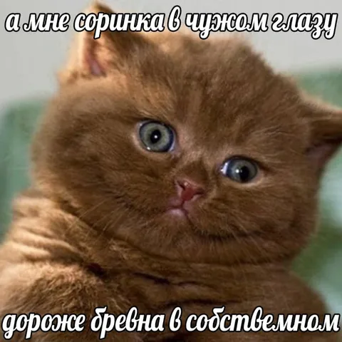 Соринка в чужом глазу