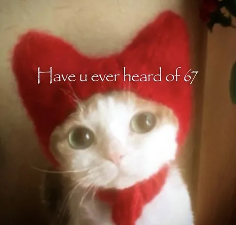 Have You Ever Heard of 67