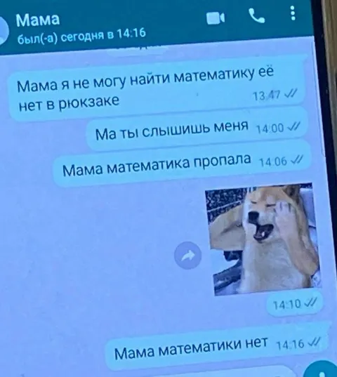 Мама, математики нет