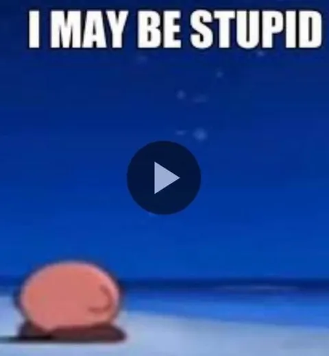 I May Be Stupid