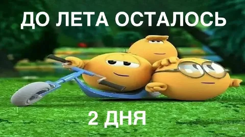 До лета осталось два дня