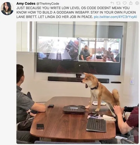 Dog Interrupts the Work Meeting