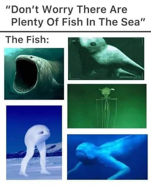 Plenty of Fish in the Sea