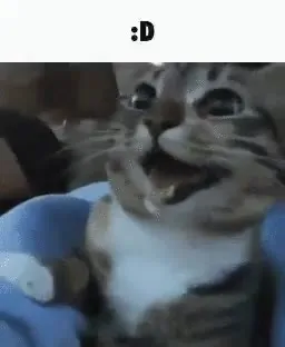 Смеющийся кот :D