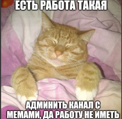 Есть работа такая