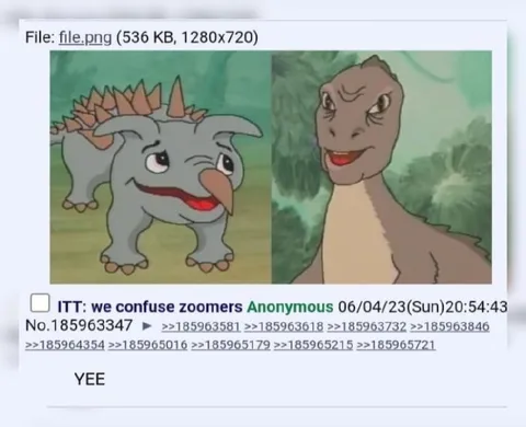 We Confuse Zoomers Yee