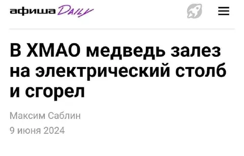 Медведь залез на электрический столб