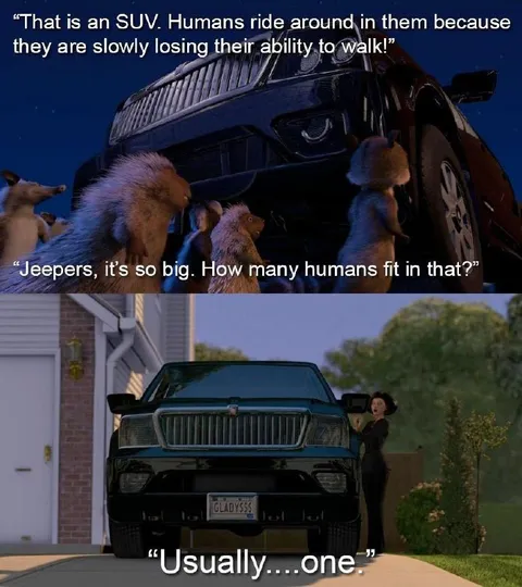Animals Discover an SUV