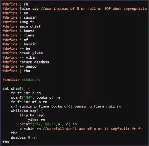 Gen Z C Programming Macros