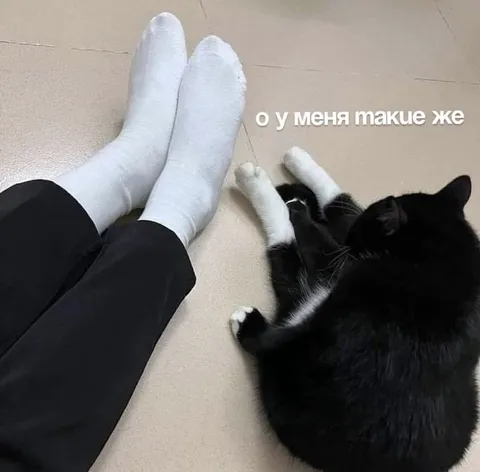 У меня такие же носки