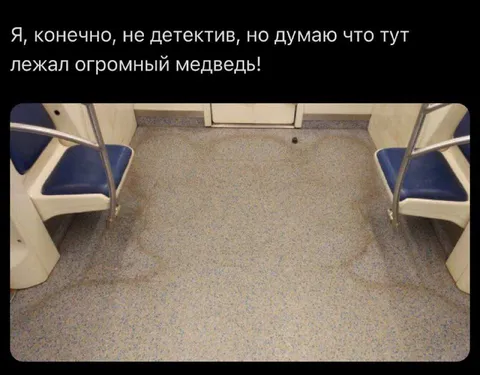 Огромный медведь в метро
