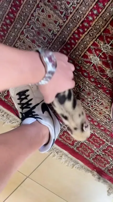 Маленький побег из коробки