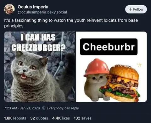 Youth Reinvents Lolcats