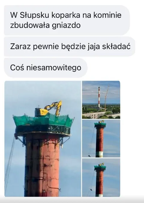 Koparka zbudowała gniazdo na kominie