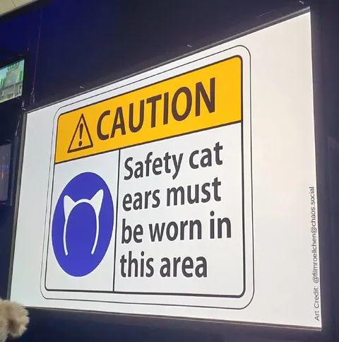 Safety Cat Ears Required