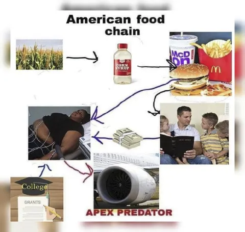 American Food Chain