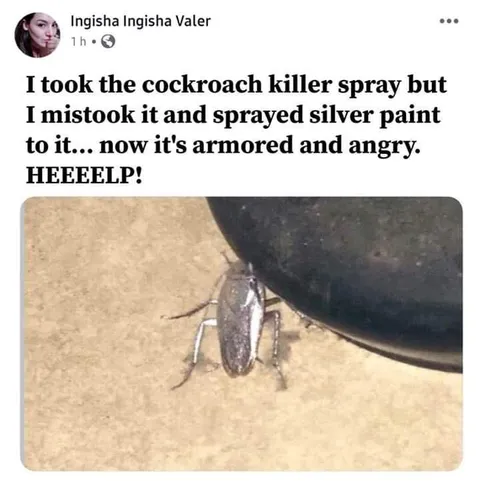 Armored Angry Cockroach