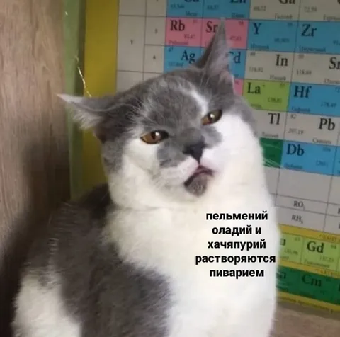 Кот о растворении еды