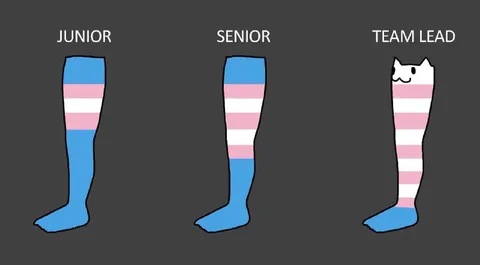 Team Lead Cat Sock Promotion