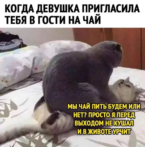 Когда девушка пригласила на чай
