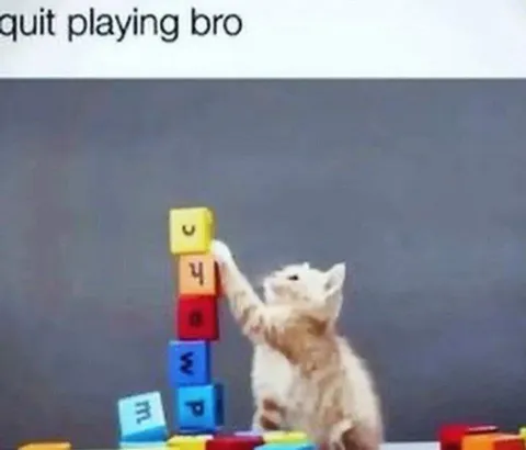 Cat Stacking Blocks