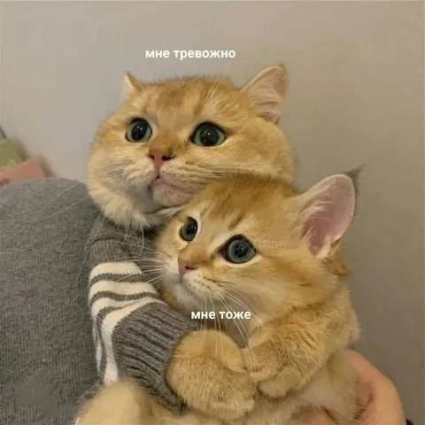 Мне тревожно, мне тоже