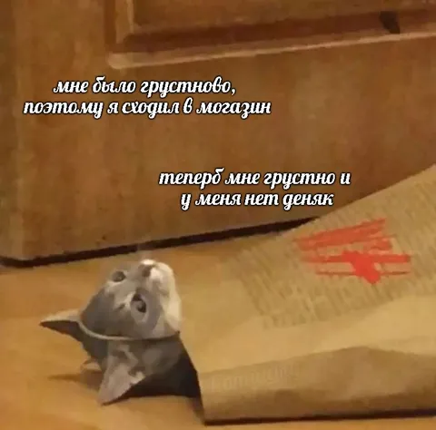 Сходил в магазин за грустью
