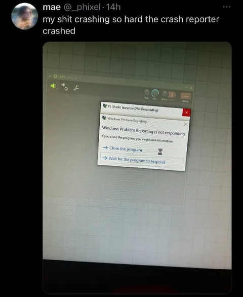Crash Reporter Crashes Too
