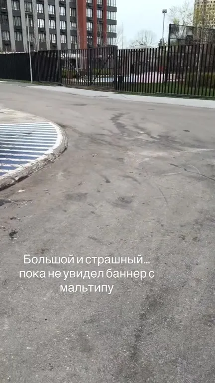 Большой и страшный мальтипу