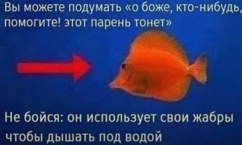 Рыба тонет под водой
