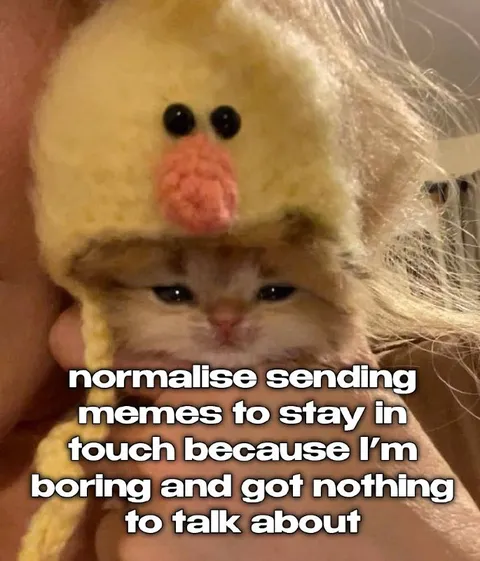 Normalize Sending Memes