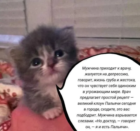 Я и есть Пальячи