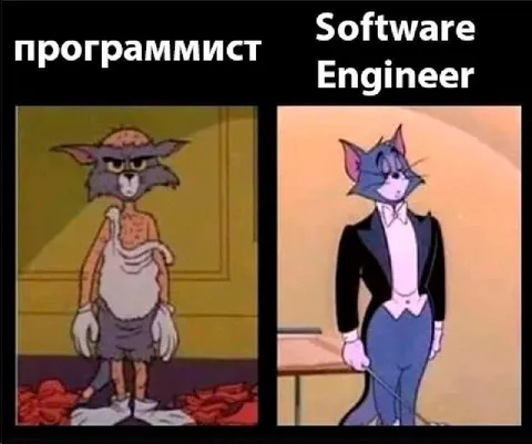 Программист и Software Engineer