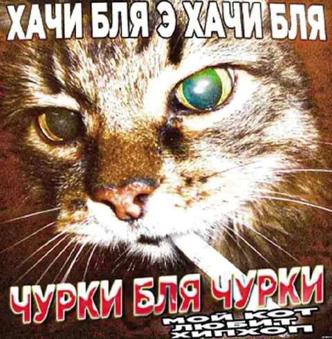 Хачи бля и чурки