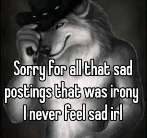 I Never Feel Sad IRL
